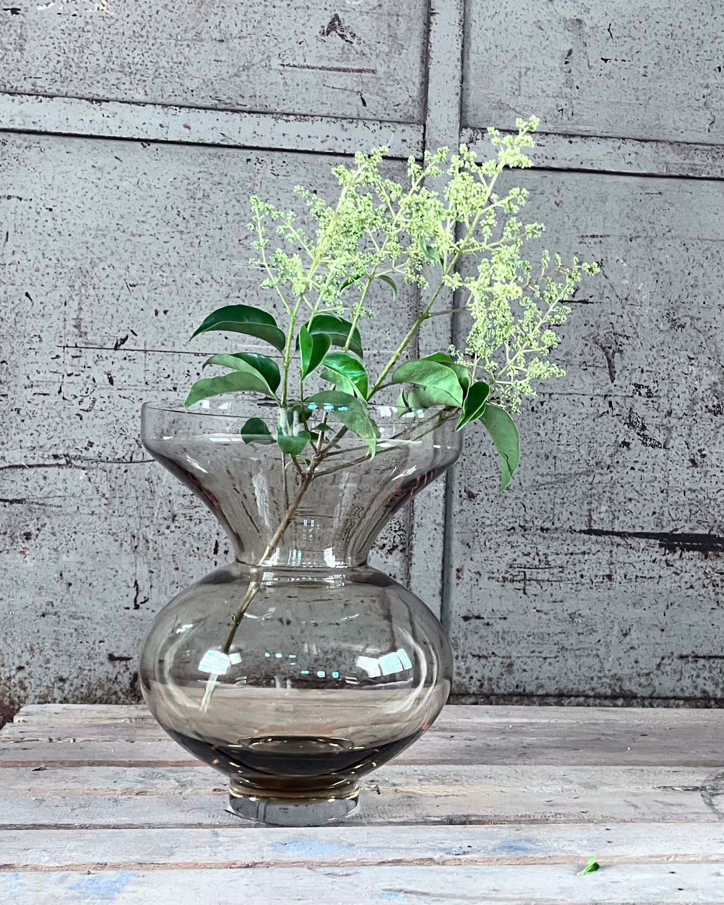 #5/9 FABIONA VASE color: Champagner
